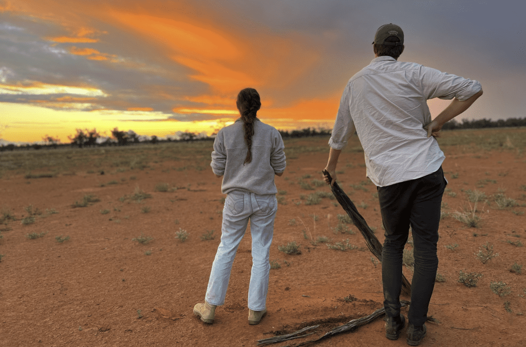 Sunsets over native regeneration projects in Australia’s heartland