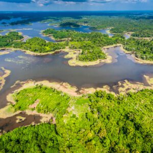 April Salumei Rainforest Community Conservation Project: 2018 vintage