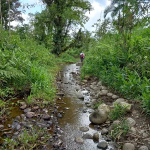 Condoto Forest Conservation