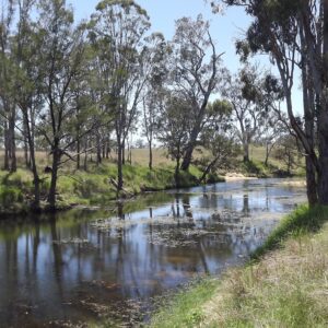 Colodan Great Barrier Reef Regen Project