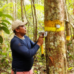 Matavén Rainforest Conservation